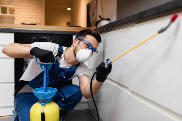 Best Pest Prevention Services  in Pocasset, MA