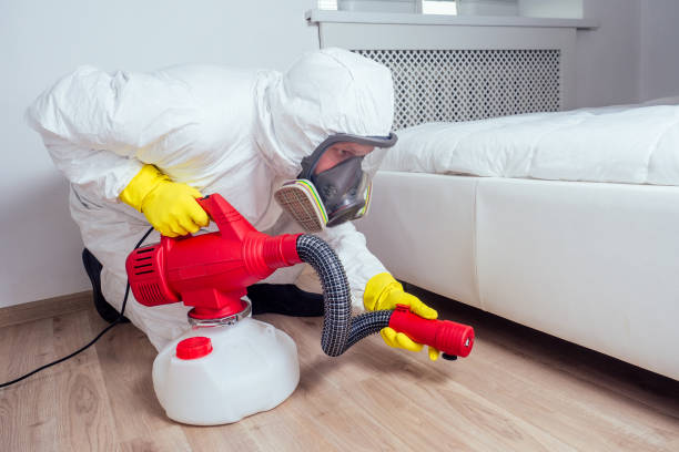 Best Affordable Pest Control Services  in Pocasset, MA