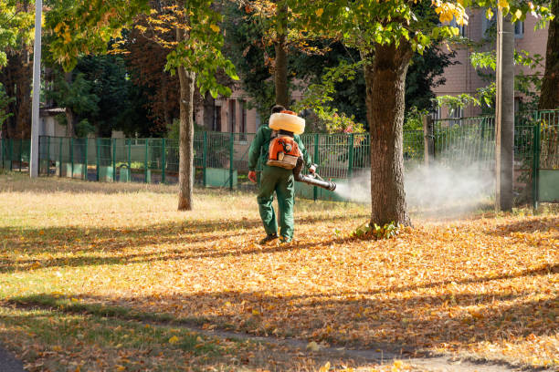 Reliable Pocasset, MA Pest Control Solutions