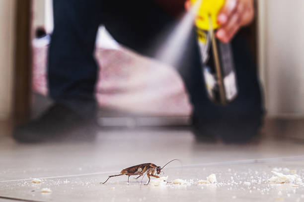  Pocasset, MA Pest Control Pros